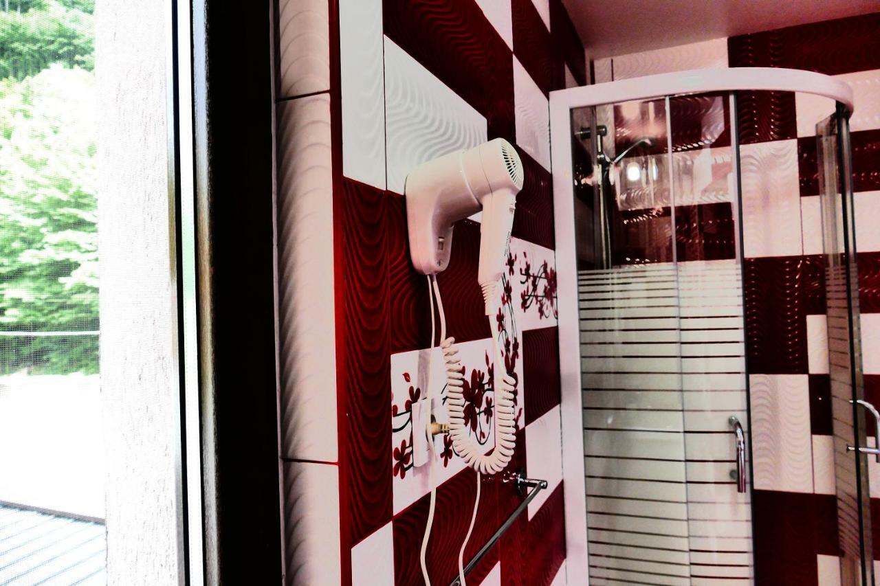 阿尼纳 Pensiunea Roua Florilor酒店 外观 照片