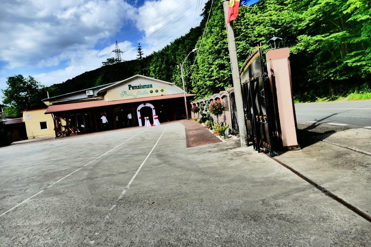 阿尼纳 Pensiunea Roua Florilor酒店 外观 照片